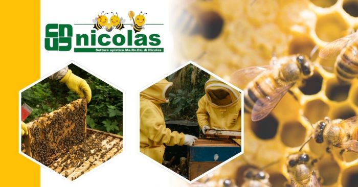 GIUSEPPE Susa foto 3