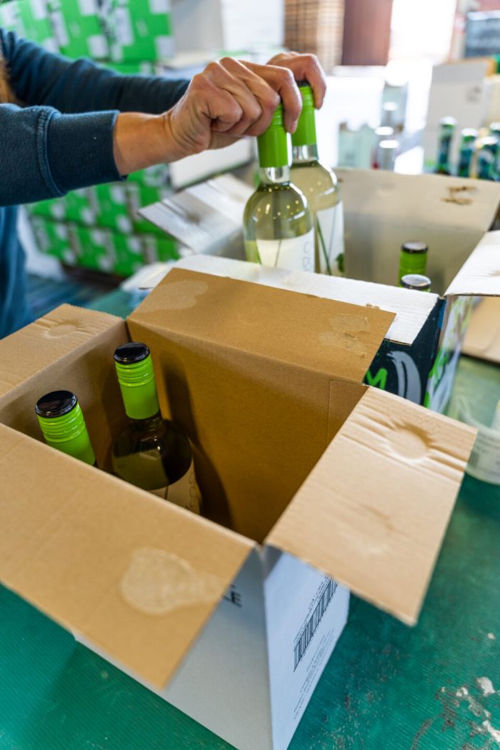 Giovanna Verona foto 5