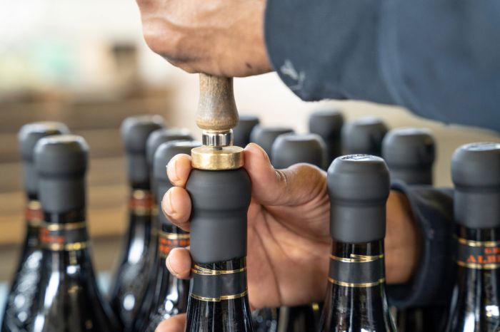 Giovanna Verona foto 1